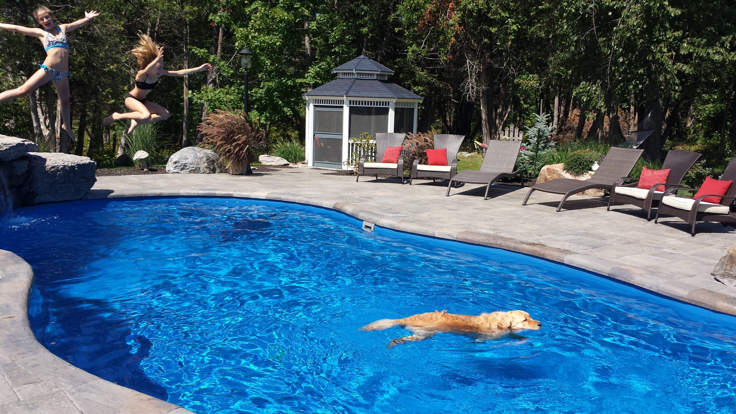 Kids jumping into pool w their dog